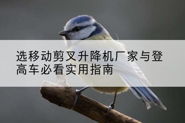 南和电动升降机厂家-选移动剪叉升降机厂家与登高车必看实用指南