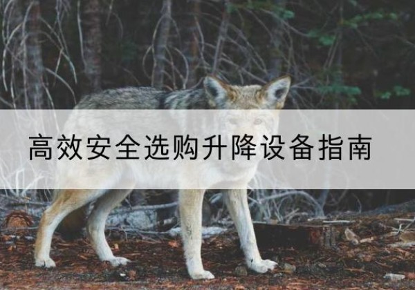 南和升降货梯厂家推荐-*安全选购升降设备指南